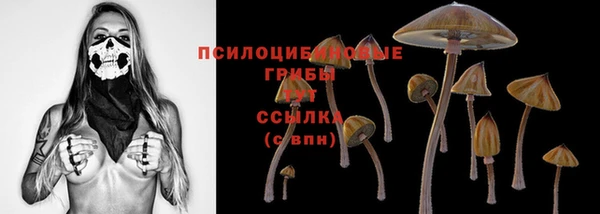 гашиш Арсеньев