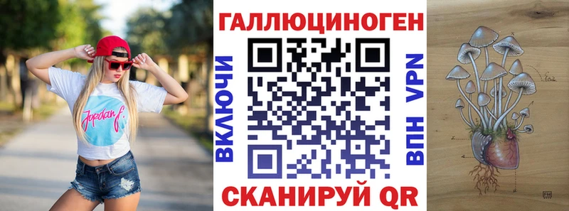 Псилоцибиновые грибы мицелий Купить Кимры